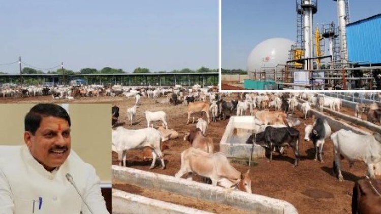 ग्वालियर की अत्याधुनिक गौ-शाला से जुड़े बॉयो सीएनजी प्लांट से अन्य नगरों के लोग लेंगे प्रेरणा : मुख्यमंत्री डॉ. यादव