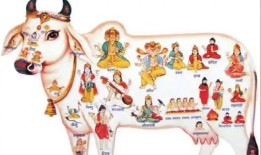 गोपाष्टमी: गायों की पूजा, उनके प्रति कृतज्ञता प्रकट करने का दिन