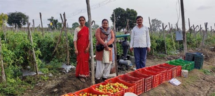 उन्नत खेती से उन्नति की ओर बढ़े शरद