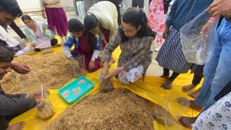 युवाओं को स्वरोजगार से जोड़ने में सहायक होगा मशरूम उत्पादन