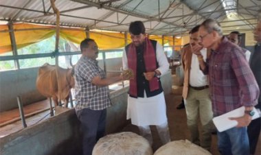 गोवंश के आहार में हरा चारा और साइलेज को शामिल करें : मंत्री पटेल