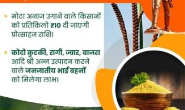 प्रदेश में किसानों को श्रीअन्न की खेती के लिये मिलती है प्रोत्साहन राशि