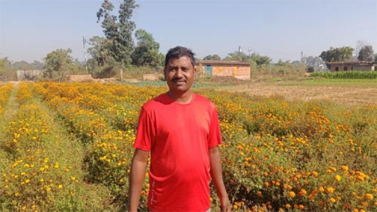 पारंपरिक खेती छोड़ परिमल ने शुरू की गेंदे के फूलों की खेती, बंपर उत्पादन से दुगुनी हुई कमाई