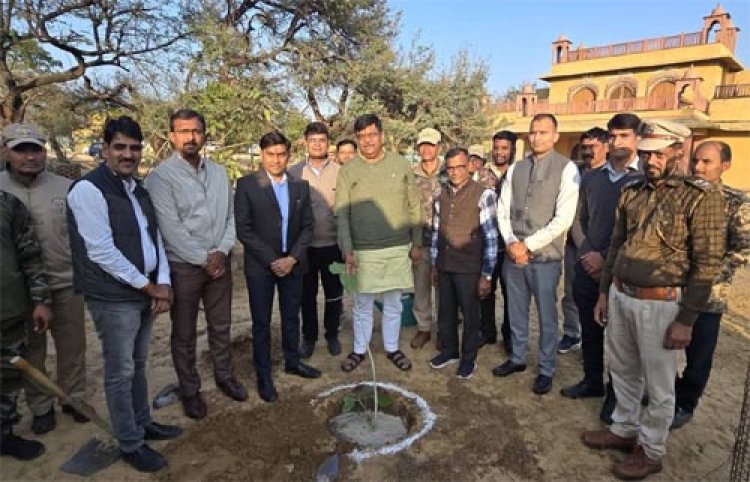 वन मंत्री ने सरिस्का में वन विभाग की मॉनिटरिंग व्यवस्था का जायजा लिया वनकर्मी प्रो-एक्टिव रहकर करें दायित्वों का निर्वहन: मंत्री शर्मा
