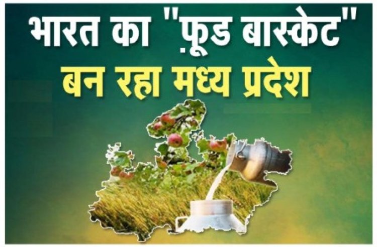 भारत का “फ़ूड बास्केट“ बन रहा मध्यप्रदेश