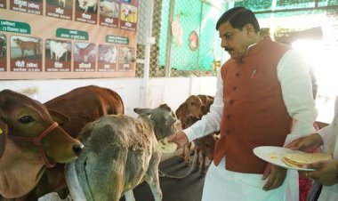 मुख्यमंत्री डॉ. यादव के नवाचारों से बेहतर हुआ प्रदेशवासियों का जीवन : प्रधानमंत्री मोदी