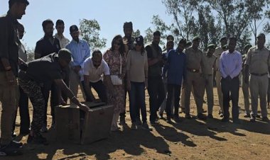 यूरेशियन वल्चर को रायसेन वन मण्डल के सरार बीट में छोड़ा गया