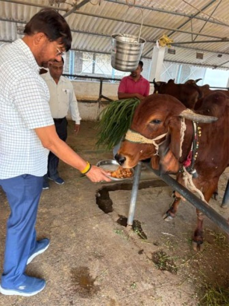 पशुपालन राज्य मंत्री पटेल द्वारा बुल मदर फार्म का निरीक्षण