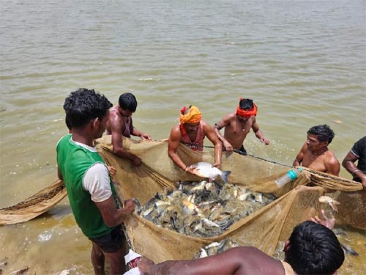 शासकीय योजनाओं से ग्रामीण अर्थव्यवस्था को मिल रही मजबूती