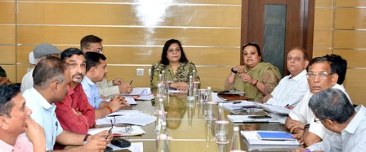 'हरियालो राजस्थान'के तहत इस वर्ष 10 करोड़ पौधे लगाने का लक्ष्य