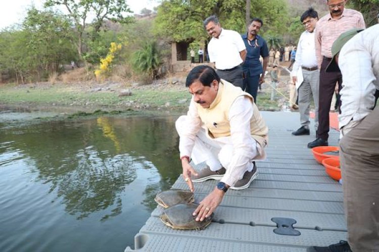 मुख्यमंत्री डॉ. यादव ने वन विहार राष्ट्रीय उद्यान के जल क्षेत्र में छोड़े कछुए
