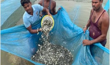 300 हैक्टेयर तक के कृषि योग्य कमांड क्षेत्र के 3236 छोटे बांधों में मछली पकड़ने के ठेके अब मत्स्य विभाग के माध्यम से होंगे: गृह एवं मत्स्य राज्य मंत्री