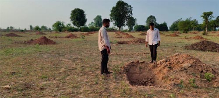 गौरेला-पेंड्रा-मरवाही जिले के नवागांव में ‘‘आम बागवानी’’ को मिली नई उड़ान
