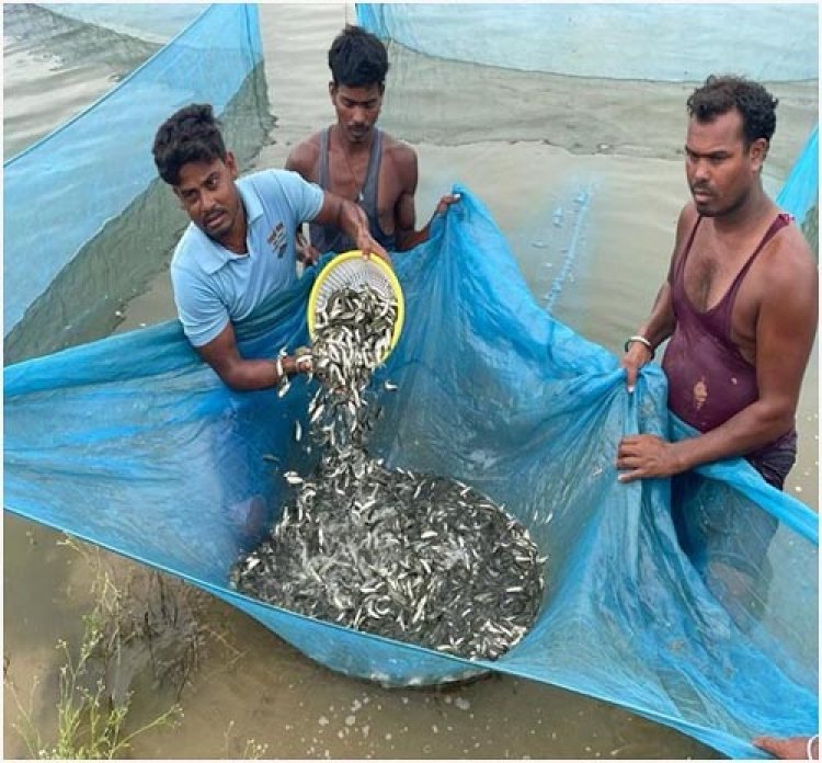 300 हैक्टेयर तक के कृषि योग्य कमांड क्षेत्र के 3236 छोटे बांधों में मछली पकड़ने के ठेके अब मत्स्य विभाग के माध्यम से होंगे: गृह एवं मत्स्य राज्य मंत्री