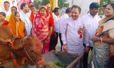 75 आदिवासी महिला किसानों को दी गई दुधारू गायें