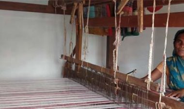 हथबंद की ज्योति बनीं आत्मनिर्भरता की मिसाल, बिहान योजना से बदली ज़िंदगी