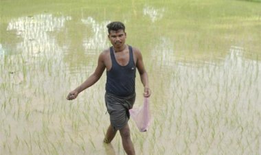 समय पर मिली खाद-बीज से युवा किसान बृजपाल की खेती हुई आसान