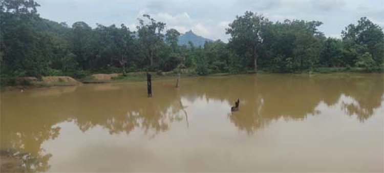 मनरेगा से  प्राकृतिक संतुलन की ओर एक सशक्त पहल