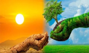 पर्यावरण से समन्वय पर विशेष संगोष्ठी-सह प्रशिक्षण कार्यशाला 11 अगस्त को
