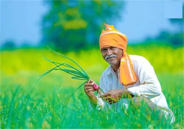 झुंझुनूं में 11 अगस्त को प्रधानमंत्री फसल बीमा योजना के तहत राष्ट्र स्तरीय डीबीटी कार्यक्रम होगा आयोजित
