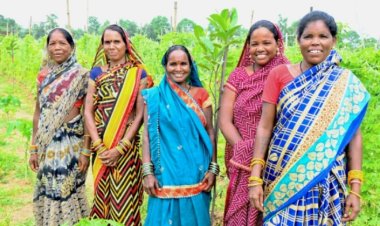 कमार दीदियों की ज़िंदगी में बिहान से जुड़कर आई खुशहाली