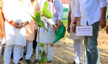 मुख्यमंत्री की उपस्थिति में जोधपुर के लालसागर वन खंड में मातृ वन की स्थापना