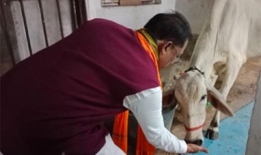 गौ-सेवा से ही मिलती है सच्ची शांति और ऊर्जा : मुख्यमंत्री विष्णु देव साय