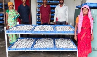 रेशम की डोर से बुनी आत्मनिर्भरता, दंतेवाड़ा की महिलाओं को मिली नई पहचान