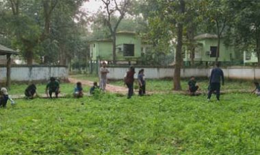 सेवा पखवाड़ा के अंतर्गत बारनवापारा में स्वच्छता एवं वृक्षारोपण कार्यक्रम