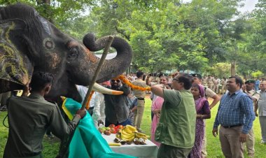 मध्यप्रदेश में सात दिवसीय हाथी महोत्सव का शुभारंभ