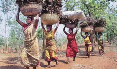 बैगा, भारिया और सहरिया जनजातियों को सभी जिलों में मिलेगा लाभ