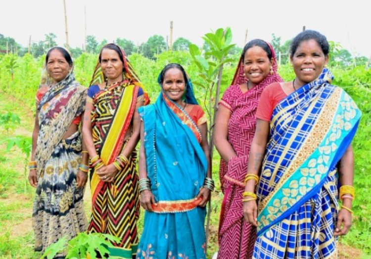 कमार दीदियों की ज़िंदगी में बिहान से जुड़कर आई खुशहाली