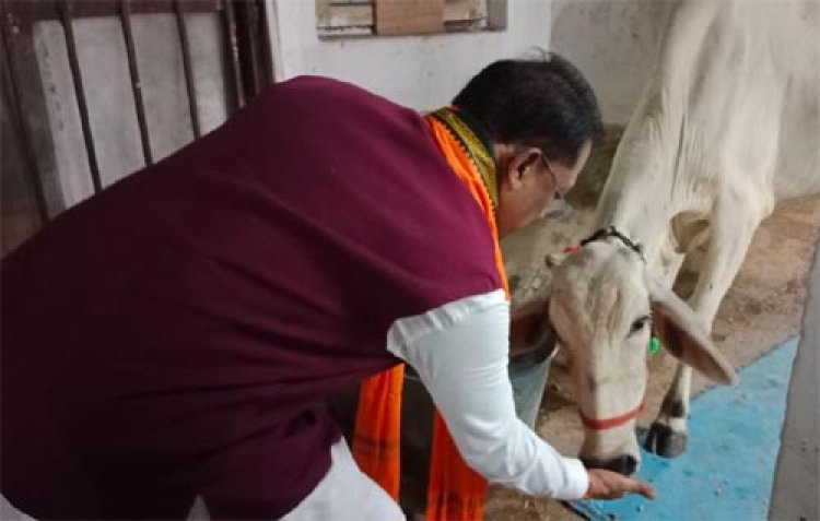 गौ-सेवा से ही मिलती है सच्ची शांति और ऊर्जा : मुख्यमंत्री विष्णु देव साय