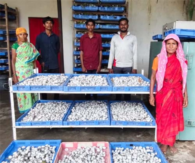 रेशम की डोर से बुनी आत्मनिर्भरता, दंतेवाड़ा की महिलाओं को मिली नई पहचान