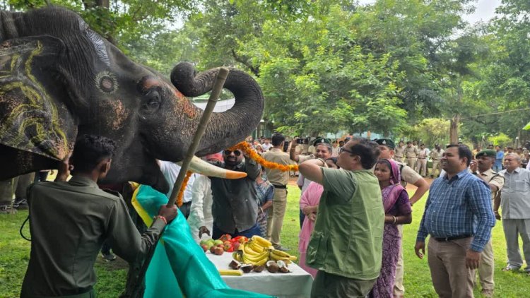 मध्यप्रदेश में सात दिवसीय हाथी महोत्सव का शुभारंभ