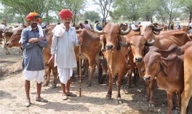 ग्रामीण सेवा शिविर में अब तक 3 लाख से अधिक पशुपालक हुए लाभान्वित