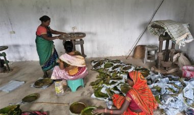  विशेष पिछड़ी जनजाति पहाड़ी कोरवा महिलाओं को पी.एम. जनमन योजना का मिल रहा लाभ