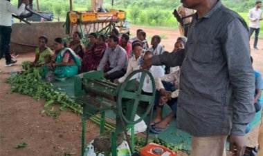  छत्तीसगढ़ में जूट की खेती को बढ़ावा देने की तैयारी