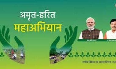 अमृत हरित महाअभियान में नगरीय क्षेत्रों में 35.59 लाख पौधे लगाये गये