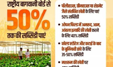 उन्नत विधि का लाभ मिल रहा किसानों को, टमाटर की खेती मालामाल हो रहे हैं किसान