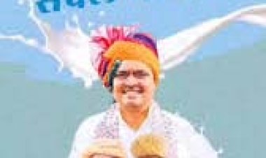 मुख्यमंत्री दुग्ध उत्पादक संबंल योजना: 5 लाख दुग्ध उत्पादक किसानों को 364 करोड़ रुपए का मिला अनुदान