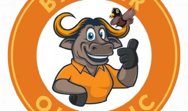 बस्तर ओलंपिक-2025 की तैयारियां जोरों पर, अब तक 3.09 लाख खिलाड़ियों ने कराया पंजीयन