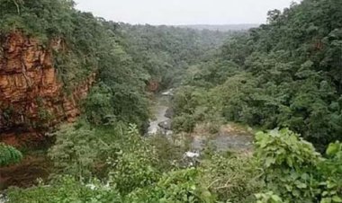 छत्तीसगढ का पहला वन विज्ञान केंद्र आसना में