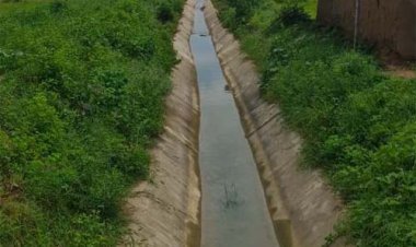 सिंचाई रकबे में उल्लेखनीय बढ़ोतरी, 40 हजार से अधिक किसान ले रहे लाभ