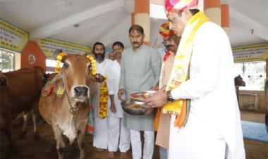 गाय का दूध, घी, दही, छाछ स्वास्थ्यवर्धक, पशुपालन मंत्री गोपाष्टमी पर कोटा में गौमाता का पूजन कर लिया आशीर्वाद