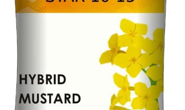 मैसर्स स्टार एग्री सीड्स प्रा. लि. और सूरज एग्रो कॉपरेटिव सोसायटी लि. बीज उत्पादन संस्था एवं बीज विधायन केंद्र का पंजीकरण प्रमाण-पत्र निरस्त