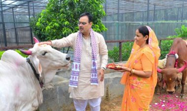 मुख्यमंत्री भजनलाल शर्मा ने मुख्यमंत्री निवास पर किया गौ-पूजन