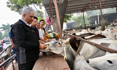 केंद्रीय वन मंत्री भूपेन्द्र यादव एवं वन राज्यमंत्री संजय शर्मा ने अलवर जिले के कॉमर्स कॉलेज में सिंथैटिक बास्केटबॉल कोर्ट का किया शिलान्यास