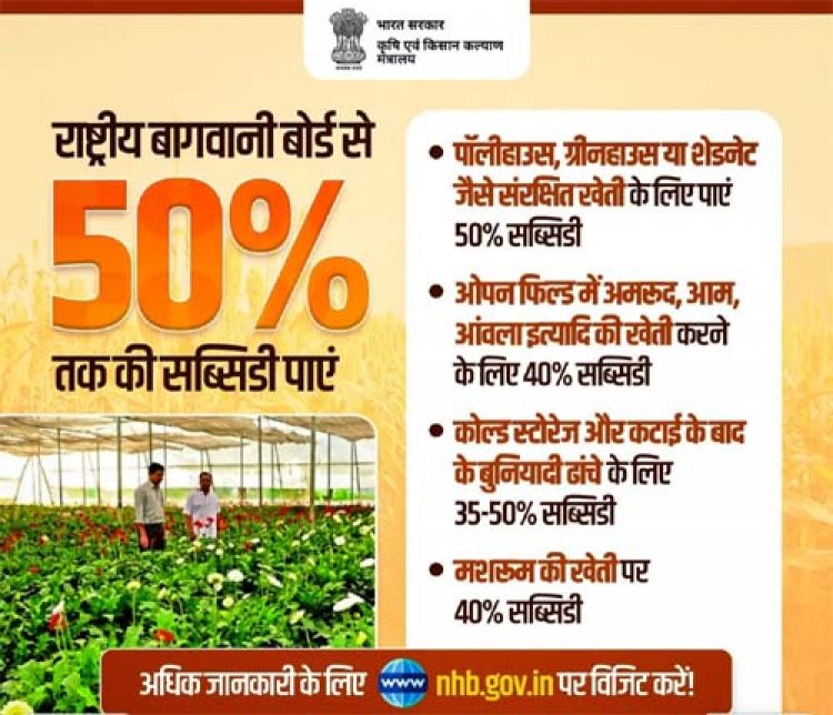 उन्नत विधि का लाभ मिल रहा किसानों को, टमाटर की खेती मालामाल हो रहे हैं किसान