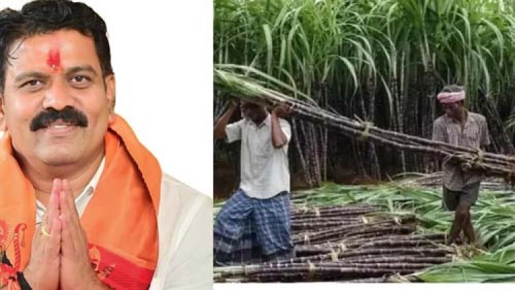 उपमुख्यमंत्री विजय शर्मा के प्रयासों से गन्ना किसानों को दीपावली पर मिला बड़ा तोहफा
